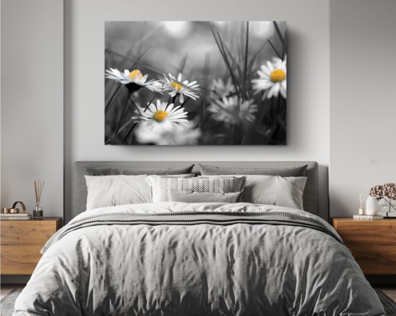 Chamomile Flower Daisy Nature Canvas Print Wall Art Home Decoration
