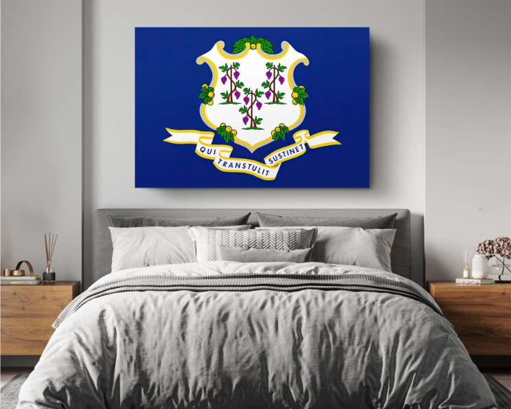 Connecticut State Flag USA Flags Edition Canvas Wall Art Home Decoration