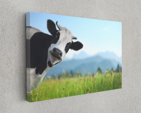 Funny Cow Meadow Motivation Animal Canvas Print Wall Art