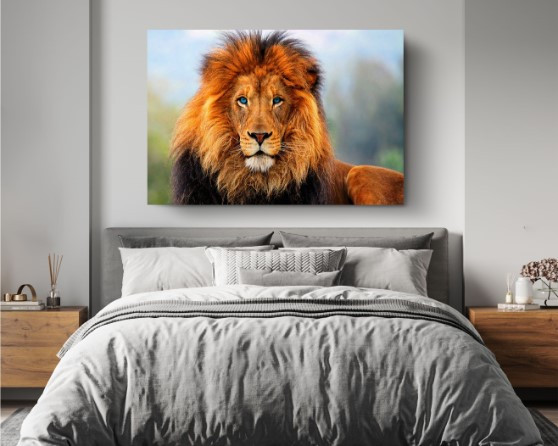African Lion Wild Life Motivational Animal Arts Canvas Print Wall Art