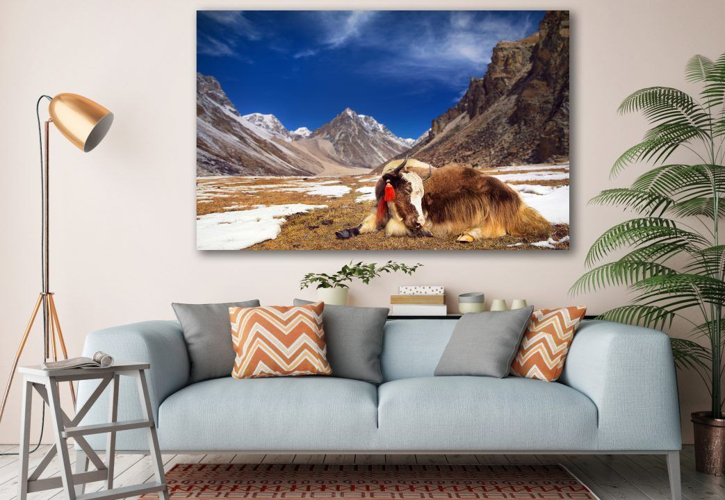 Yak in The Mountains Animal Canvas Print Wall Art